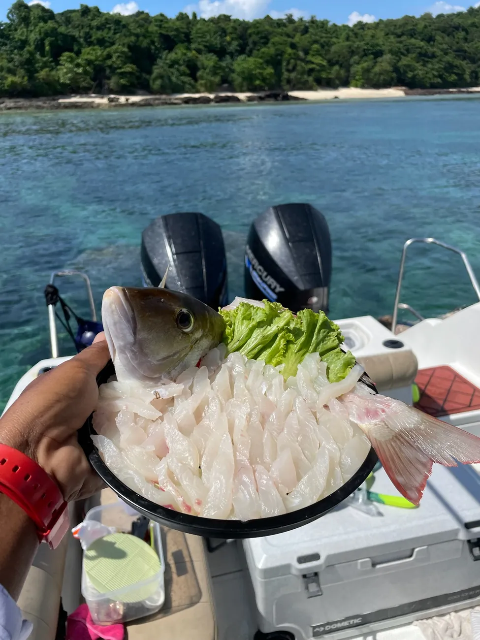 Sashimi préparé à bord par l’équipage à partir du poisson tout juste pêché
